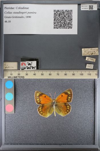 Media type: image;   Entomology 193878